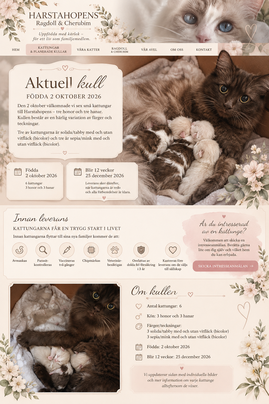 Kattungar & planerade kullar – Harstahopens
