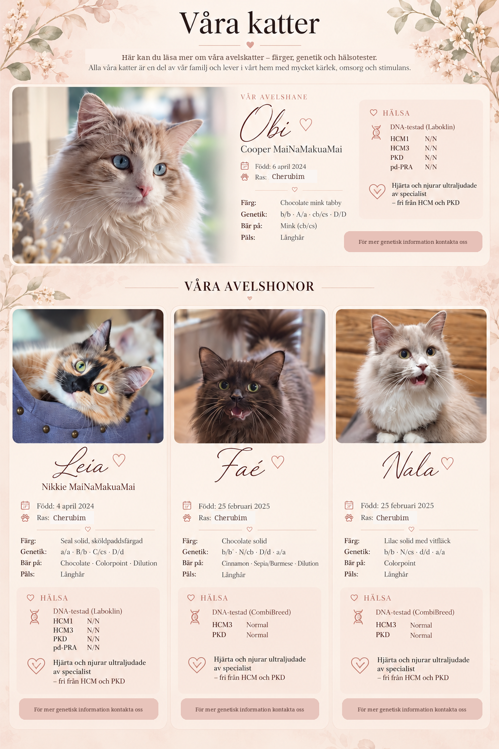 Våra katter – Harstahopens